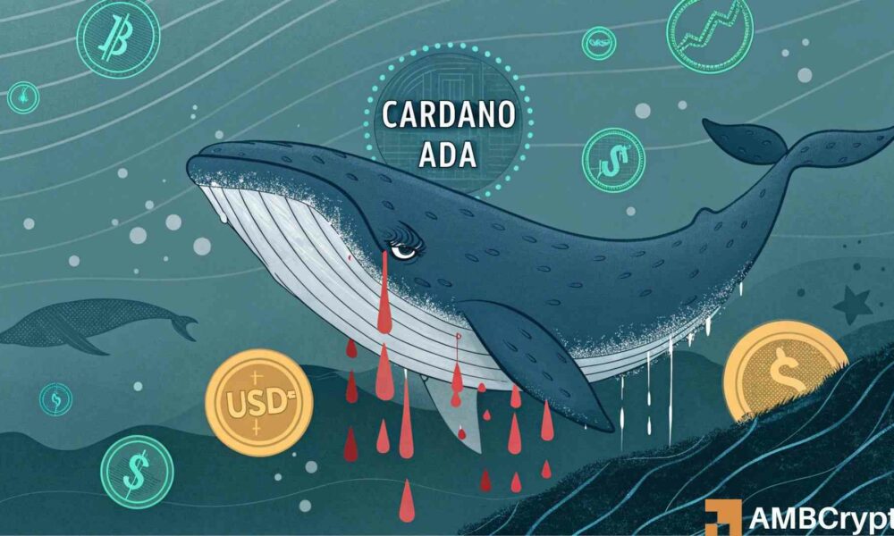 Cardano whale loses 90% ADA after conversion to an illiquid stablecoin 