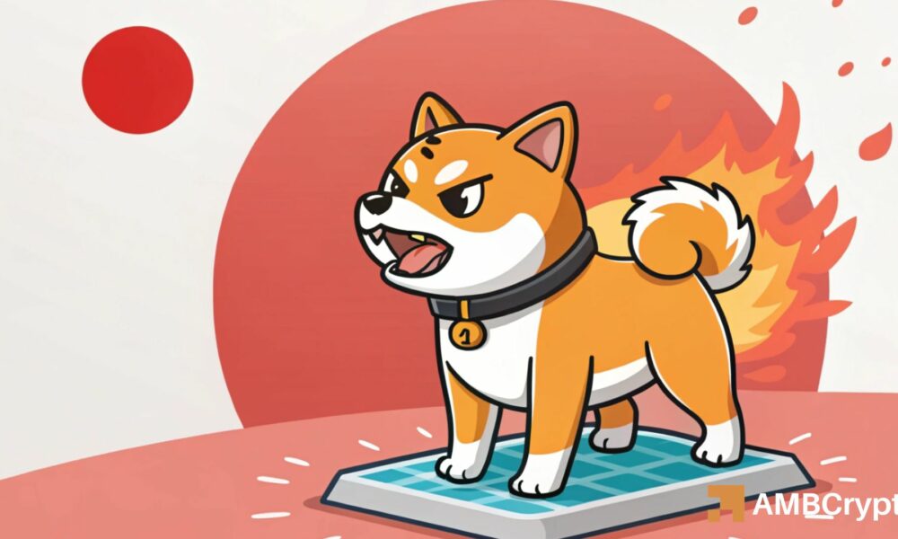 Shiba Inu: Will burn surge and Japan approval push SHIB toward a full recovery?