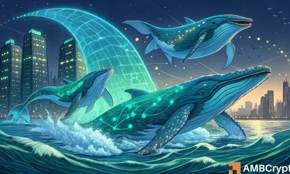 Can 17.76M ENA in whale buys finally lift Ethena past $0.30?