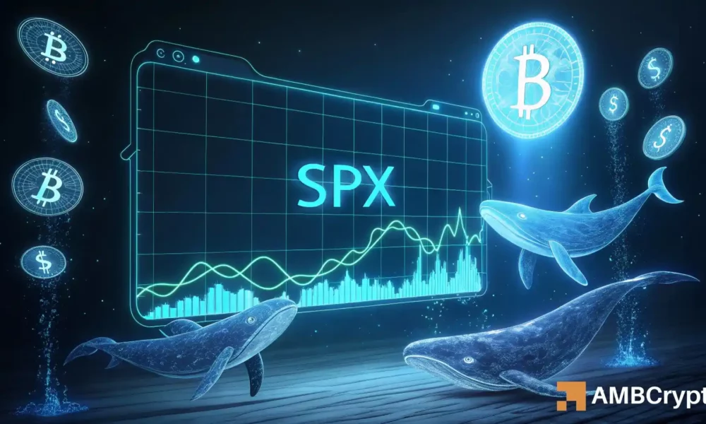 SPX surges 17% – Can whales extend the rally to $0.72?