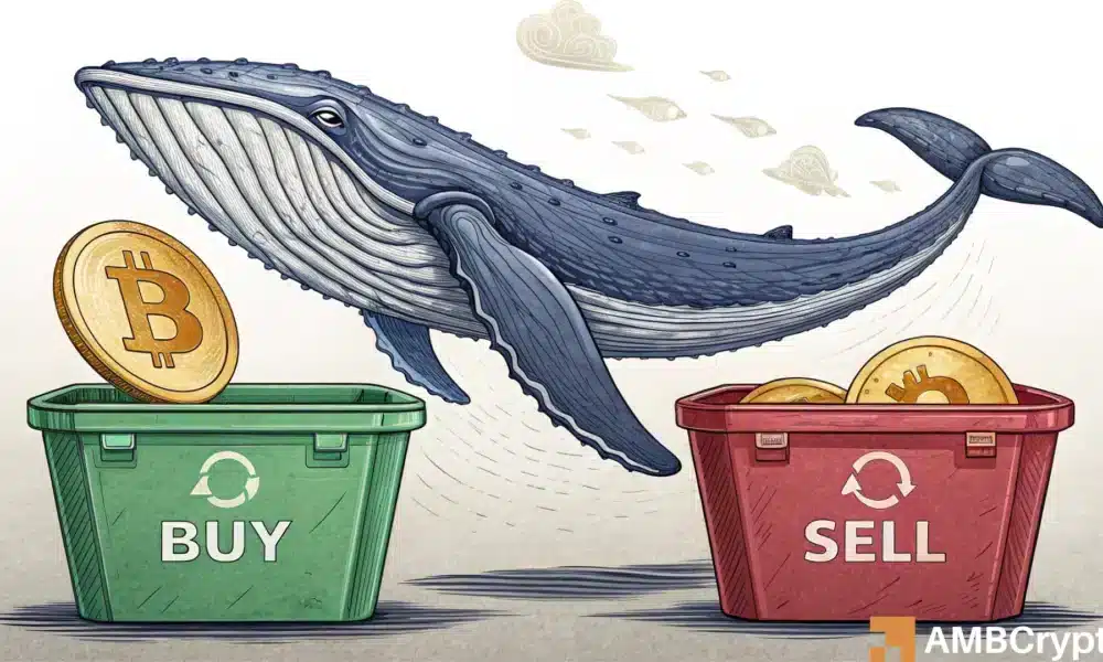 From panic to positioning: How Bitcoin whales are setting up for December