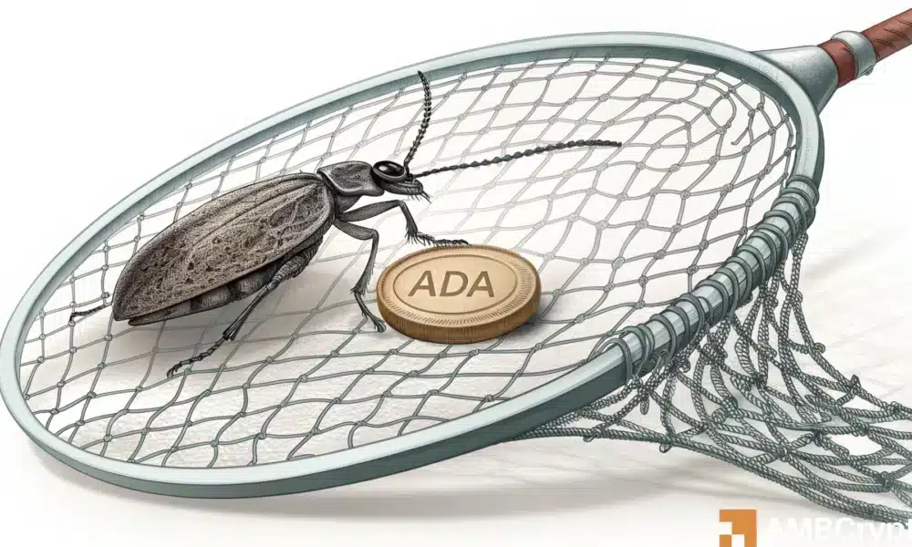 What happened after Cardano was ‘taken down by a kid?’ Mapping investor confidence