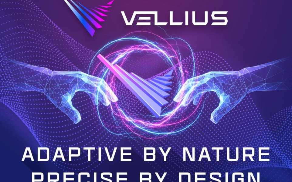 Inside Vellius: The company turning crypto chaos into order