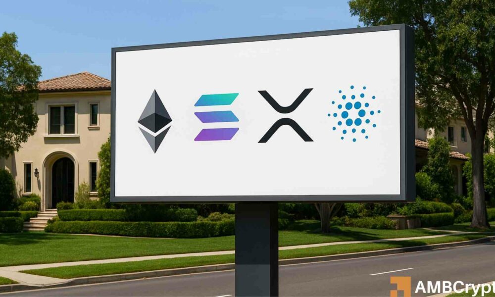 CryptoQuant CEO: ‘Altcoin liquidity is drying up’ – THIS is the only chance of survival