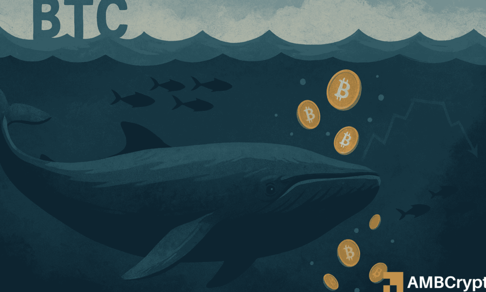 Bitcoin whales buy into weakness as retail selling accelerates