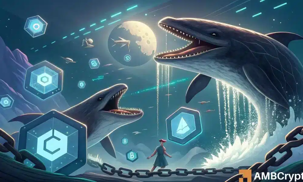Chainlink: Can $22M whale move push LINK’s price above $14?